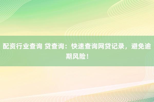 配资行业查询 贷查询：快速查询网贷记录，避免逾期风险！