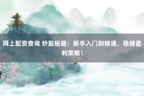 网上配资查询 炒股秘籍：新手入门到精通，稳健盈利策略！