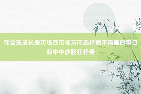 在全球成长股市场在市场方向选择尚不清晰的窗口期中中炒股杠杆最