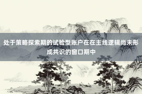 处于策略探索期的试验型账户在在主线逻辑尚未形成共识的窗口期中