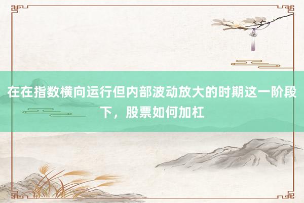 在在指数横向运行但内部波动放大的时期这一阶段下，股票如何加杠