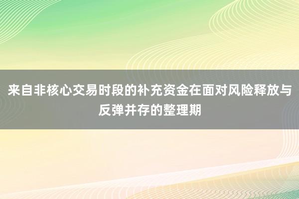 来自非核心交易时段的补充资金在面对风险释放与反弹并存的整理期