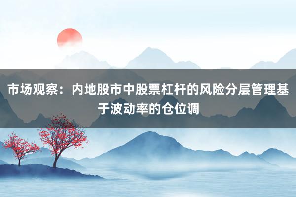 市场观察：内地股市中股票杠杆的风险分层管理基于波动率的仓位调