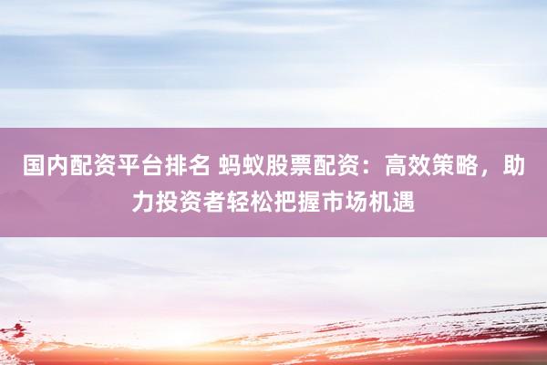 国内配资平台排名 蚂蚁股票配资：高效策略，助力投资者轻松把握市场机遇