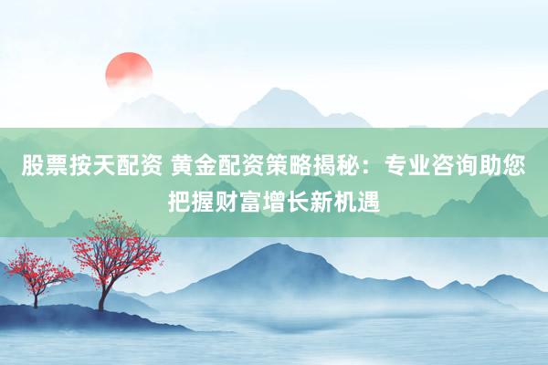 股票按天配资 黄金配资策略揭秘：专业咨询助您把握财富增长新机遇